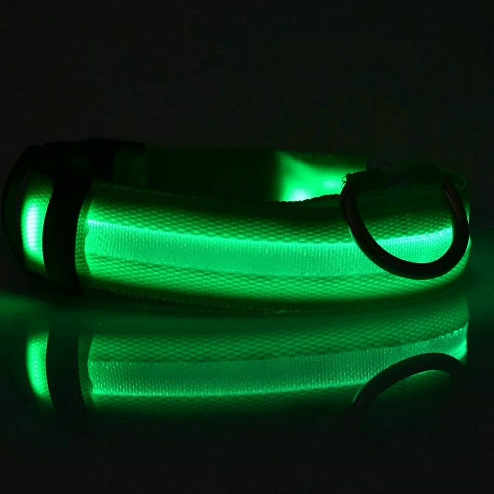 Dog collar led light